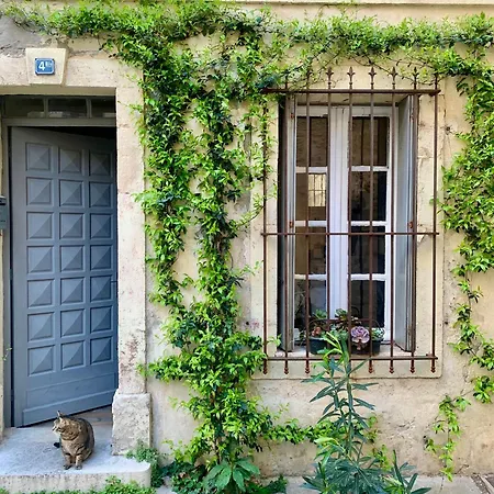 Apartment Lumineuse Maison De Centre-ville Arles