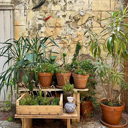 Apartment Lumineuse Maison De Centre-ville Arles